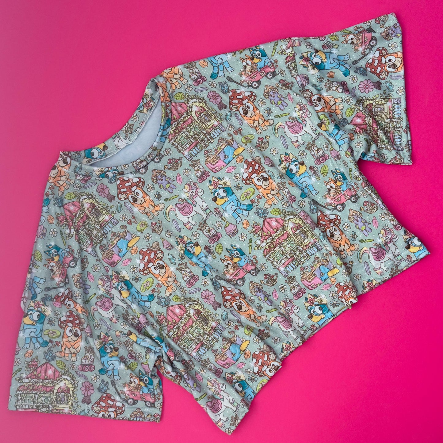 AT THE PARKS - Tween Boxy Top