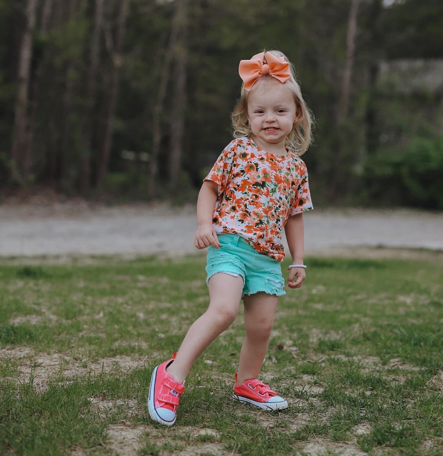 AT THE PARKS - Floyd T